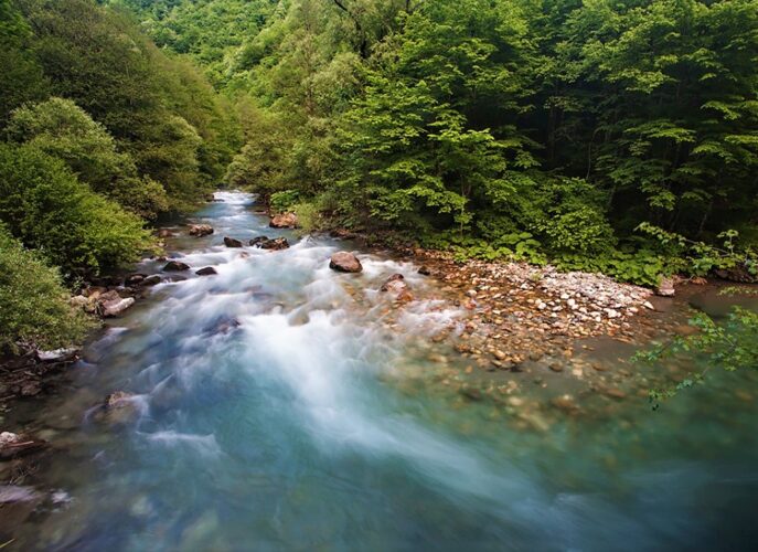 Смарагдните води на Радика