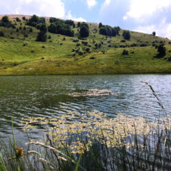 Калин Камен – скриениот бисер на Осогово